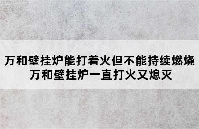 万和壁挂炉能打着火但不能持续燃烧 万和壁挂炉一直打火又熄灭